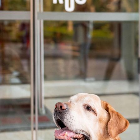 Ibis Heilbronn City Zewnętrze zdjęcie