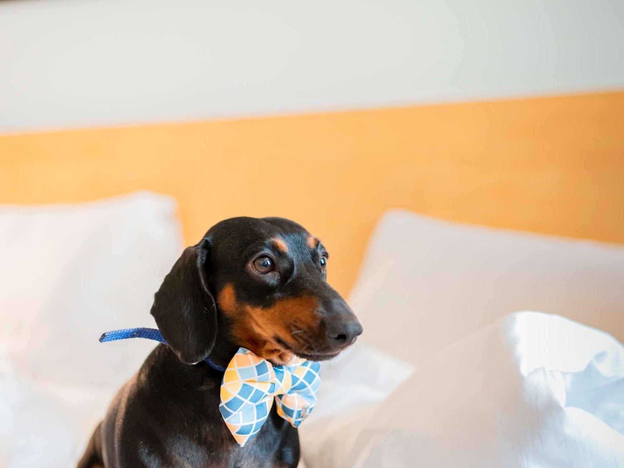 Ibis Heilbronn City Zewnętrze zdjęcie